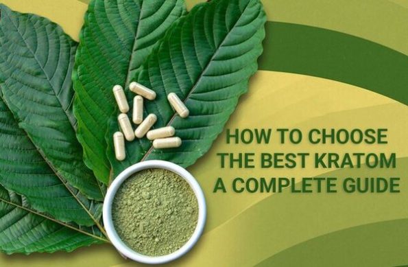 Kratom Dosage Guide - Purity Kratom Co.